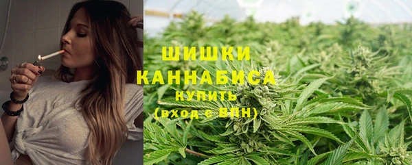 спиды Медвежьегорск