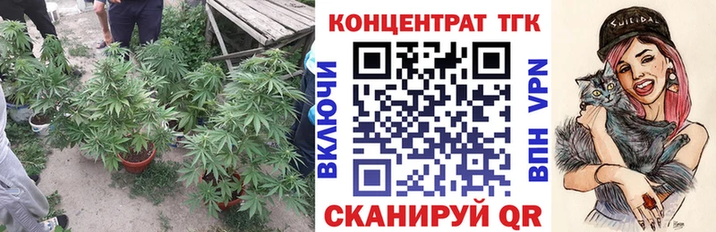 купить наркоту  mega маркетплейс  дарк нет какой сайт  Холмск  ТГК Wax 