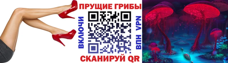 Псилоцибиновые грибы Cubensis  наркошоп  Холмск 